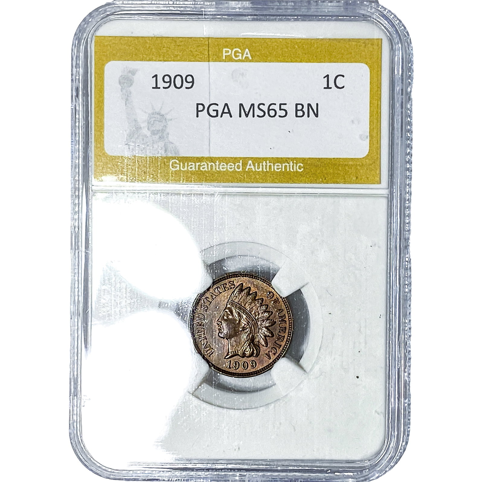1909 Indian Head Cent PGA MS65BN: 1909 Indian Head Cent PGA MS65BN