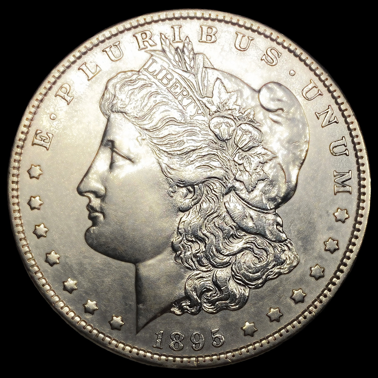 1895-S Morgan Silver Dollar: 1895-S Morgan Silver Dollar