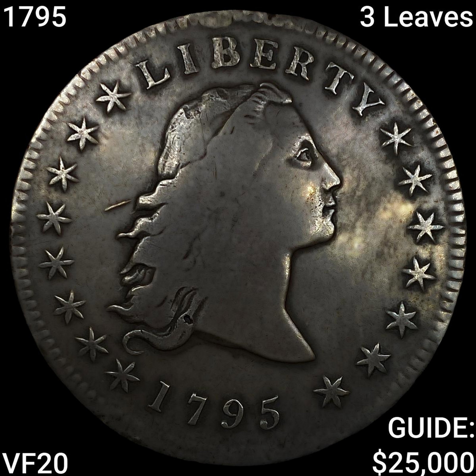 1795 3 Leaves Flowing Hair Dollar: 1795 3 Leaves Flowing Hair Dollar