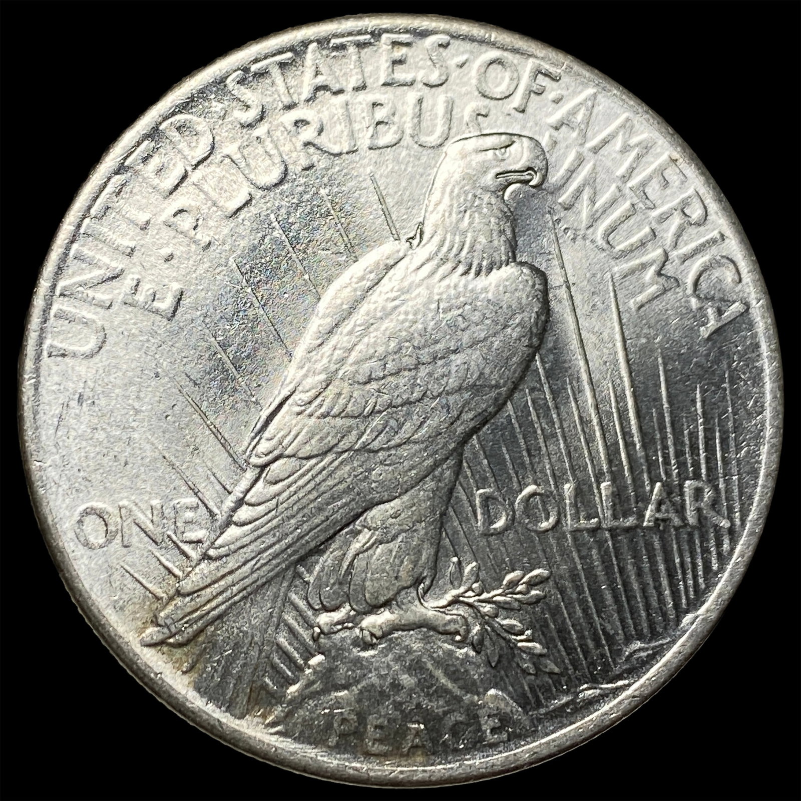 1925 Silver Peace Dollar GEM BU - 2