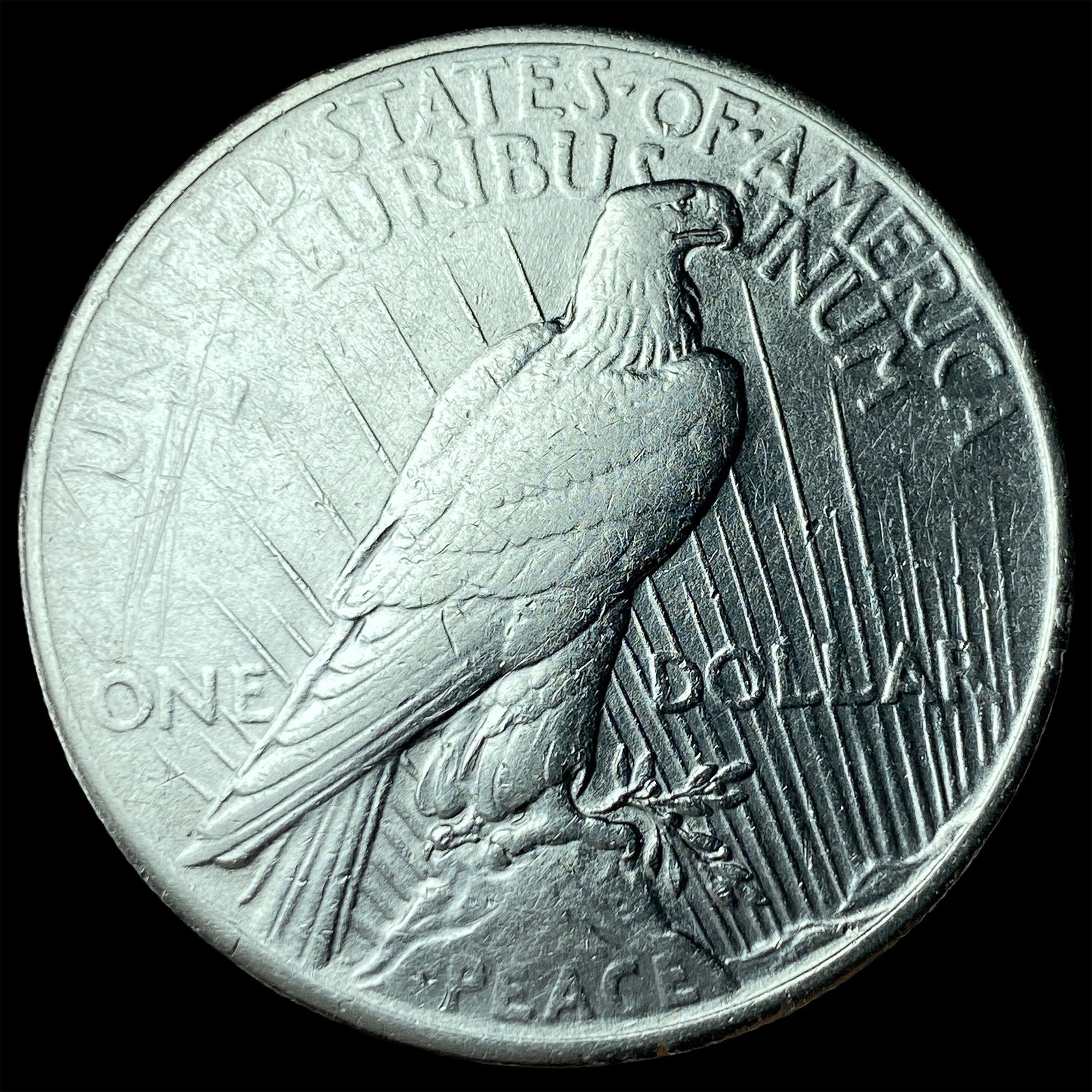 1925 Peace Silver Dollar UNCIRCULATED - 2