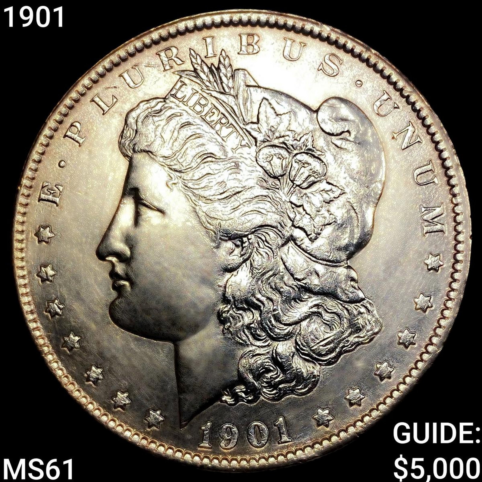 1901 Morgan Silver Dollar: 1901 Morgan Silver Dollar