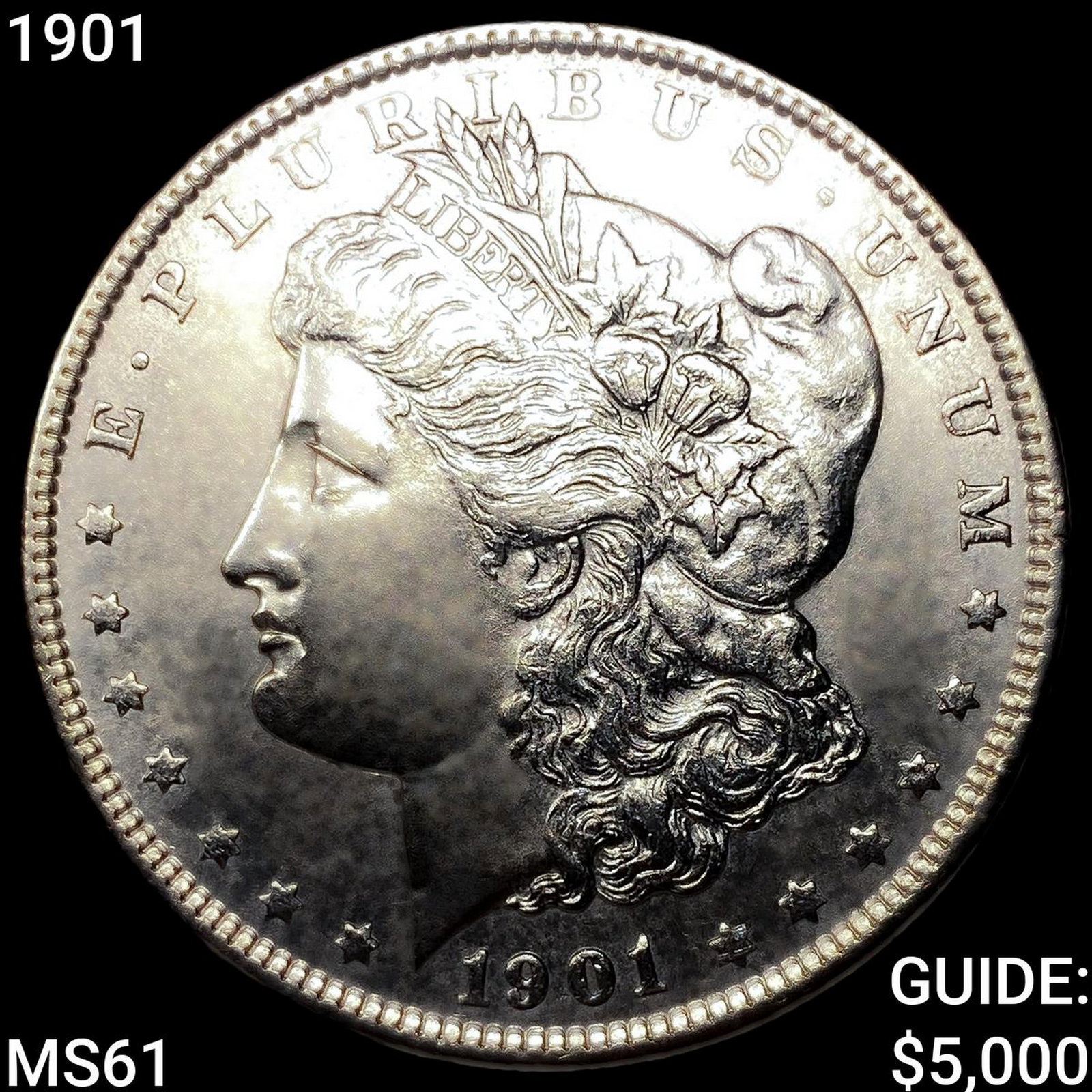 1901 Morgan Silver Dollar: 1901 Morgan Silver Dollar