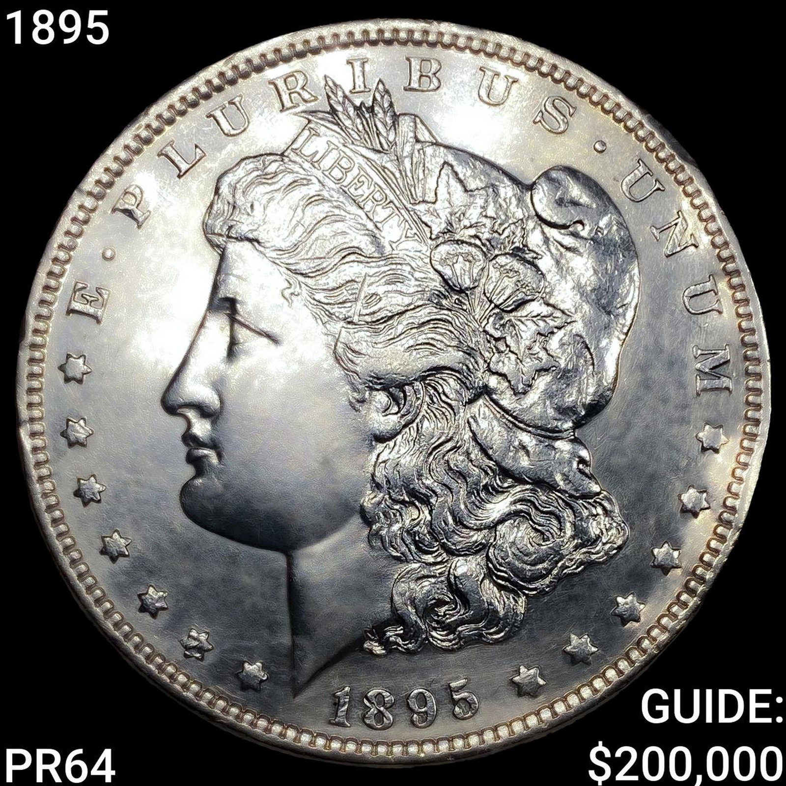 1895 Morgan Silver Dollar (1 of 2)