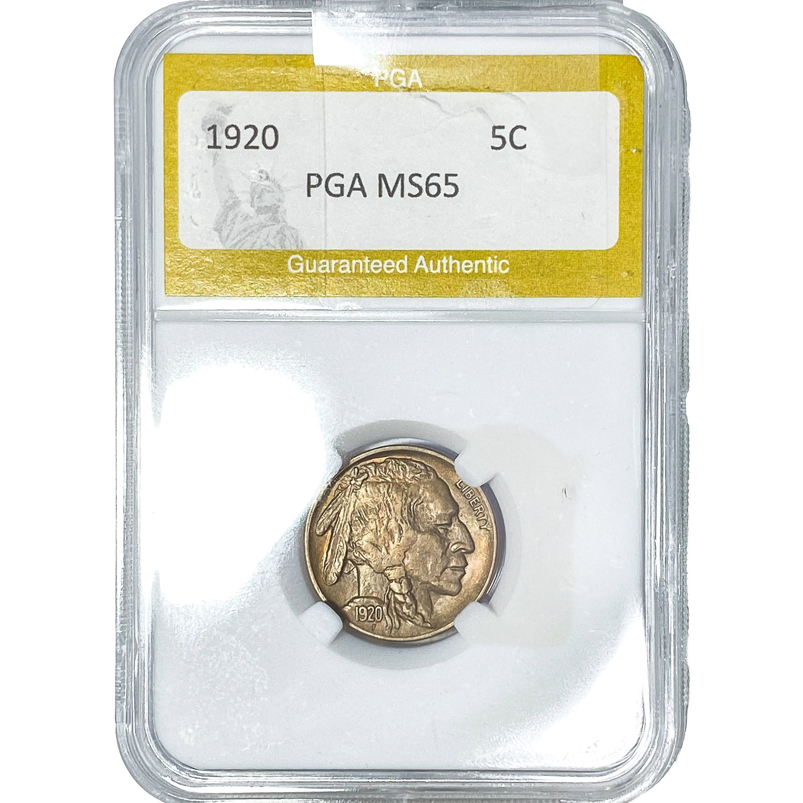 1920 Buffalo Nickel PGA MS65: 1920 Buffalo Nickel PGA MS65