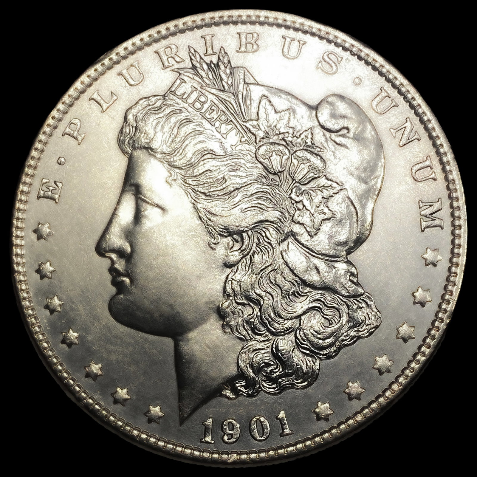 1901 Morgan Silver Dollar (1 of 2)