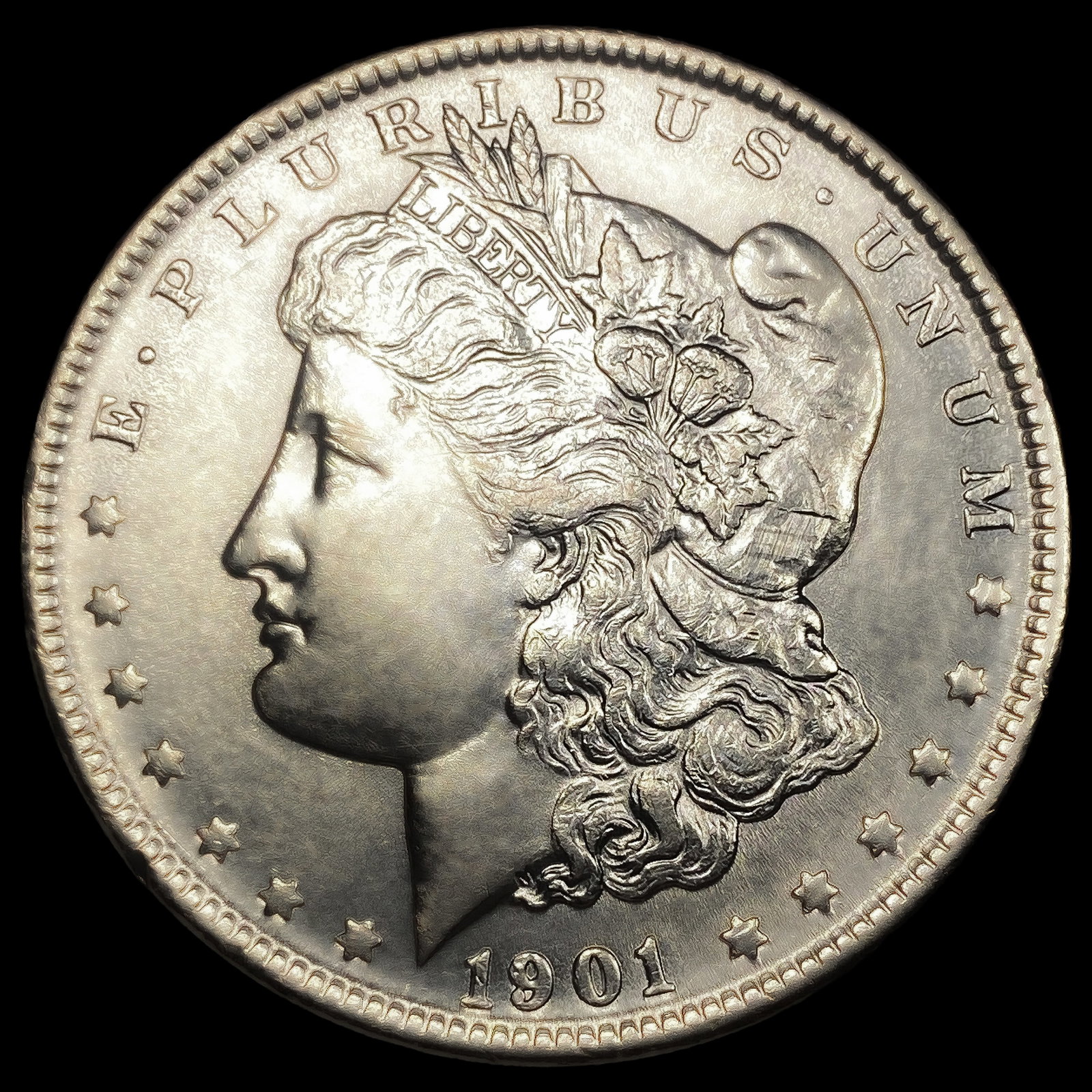 1901 Morgan Silver Dollar (1 of 2)