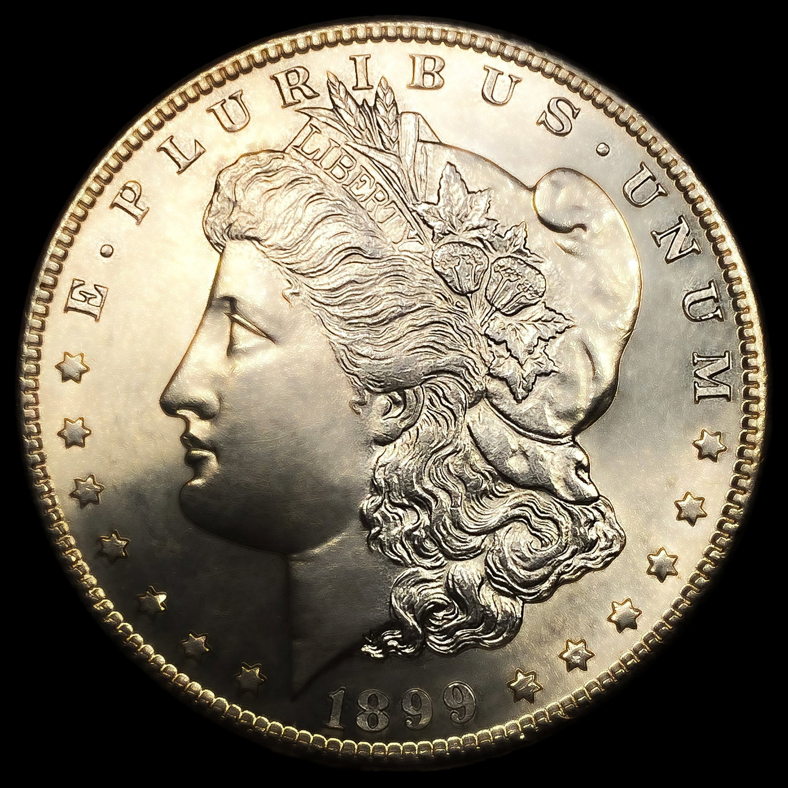 1899-S Morgan Silver Dollar: 1899-S Morgan Silver Dollar