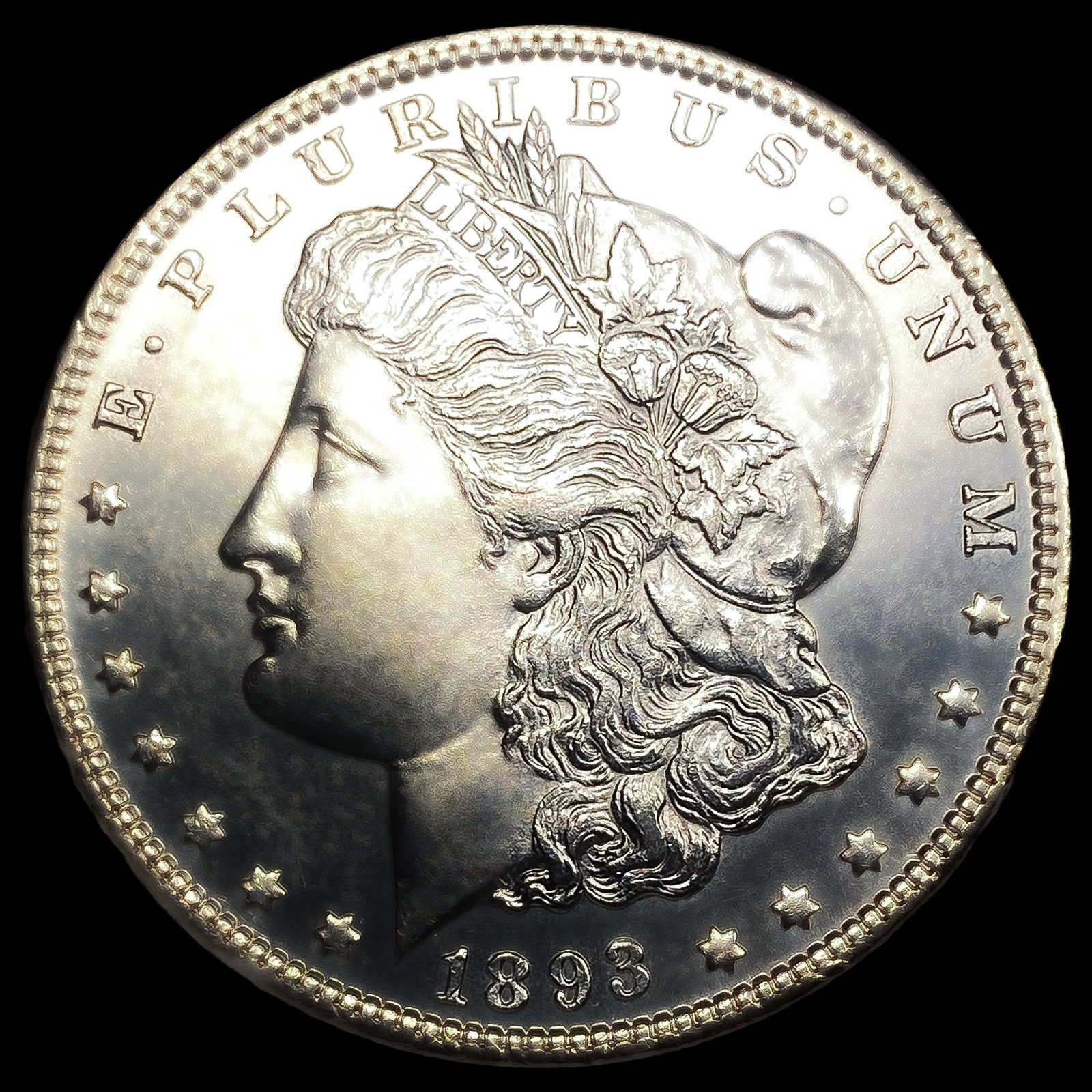 1893 Morgan Silver Dollar (1 of 2)