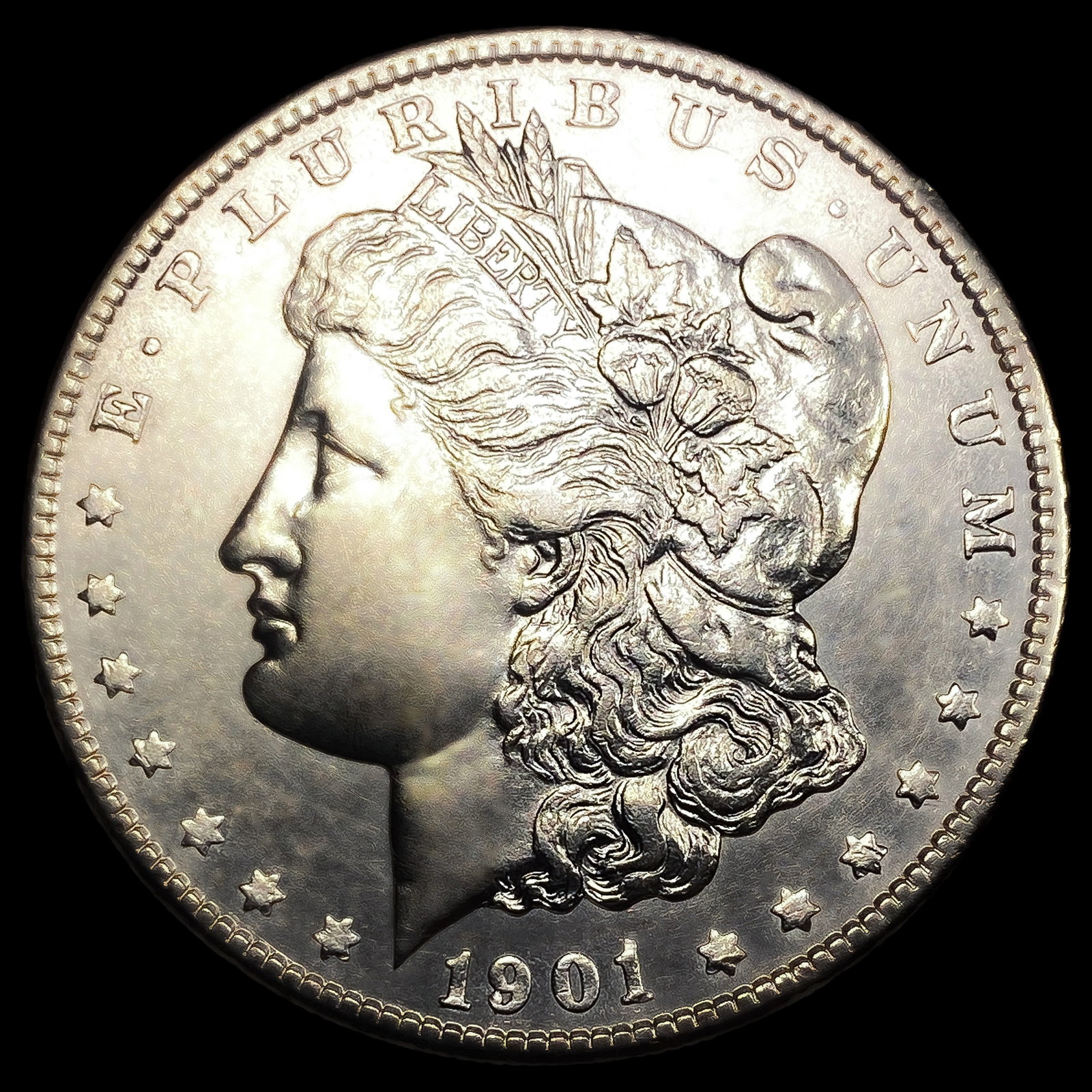 1901 Morgan Silver Dollar (1 of 2)
