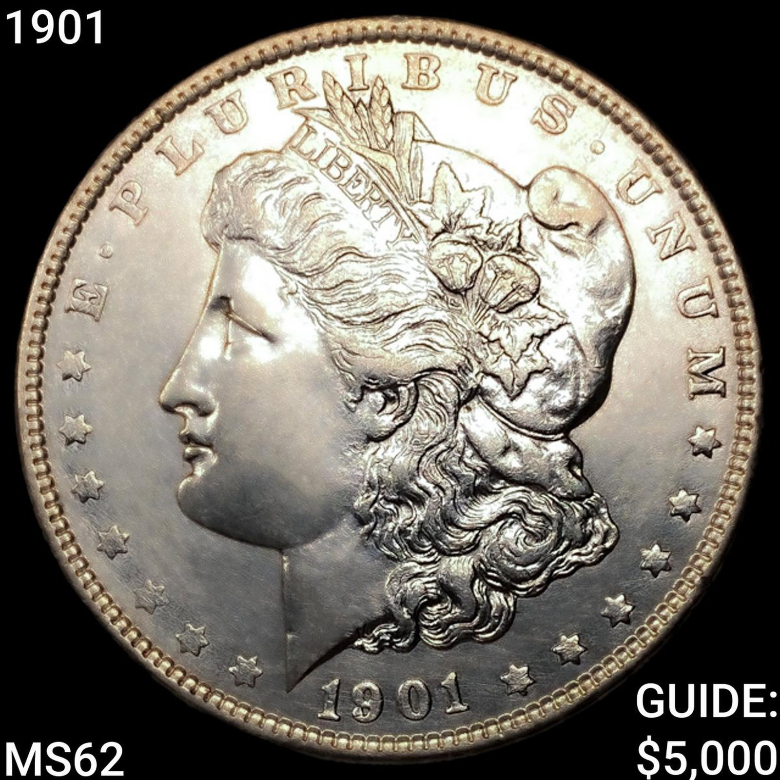 1901 Morgan Silver Dollar UNCIRCULATED: 1901 Morgan Silver Dollar UNCIRCULATED