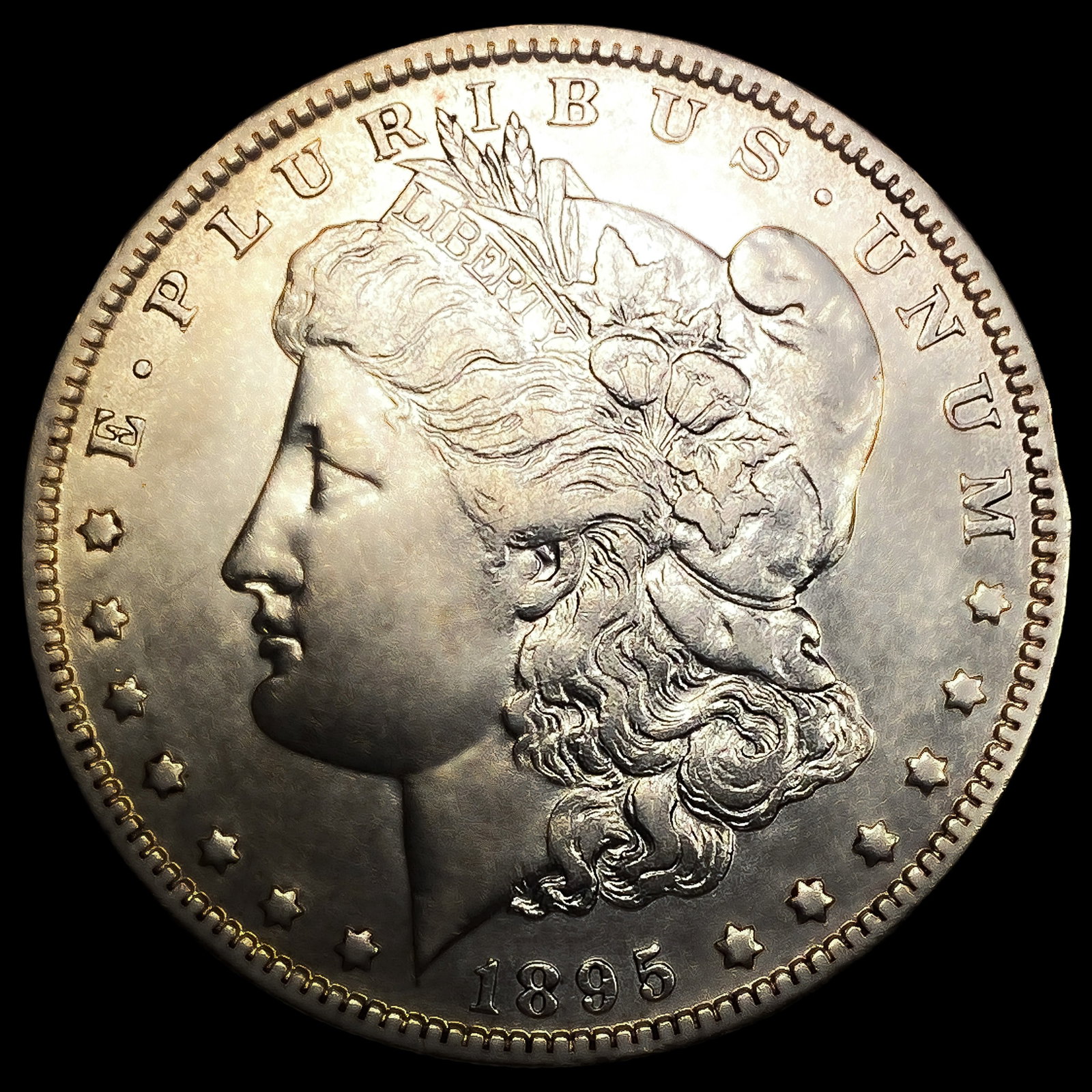 1895-O Morgan Silver Dollar (1 of 2)