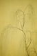 4 Pcs Chinese Figures Painting, Chen Shaomei Mark - 4