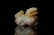 A Chinese Carved Jade Lion Ornament