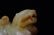 A Chinese Carved Jade Lion Ornament - 2