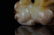 A Chinese Carved Jade Lion Ornament - 5