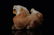 A Chinese Carved Jade Lion Ornament - 7