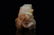 A Chinese Carved Jade Lion Ornament - 8