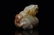 A Chinese Carved Jade Lion Ornament - 9