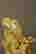 item-87937610=5