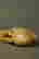 item-87937610=8