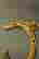 item-87937852=5