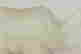 item-87937905=7