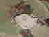 item-119580339=2