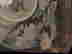 item-119580339=6