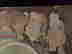 item-119580339=7