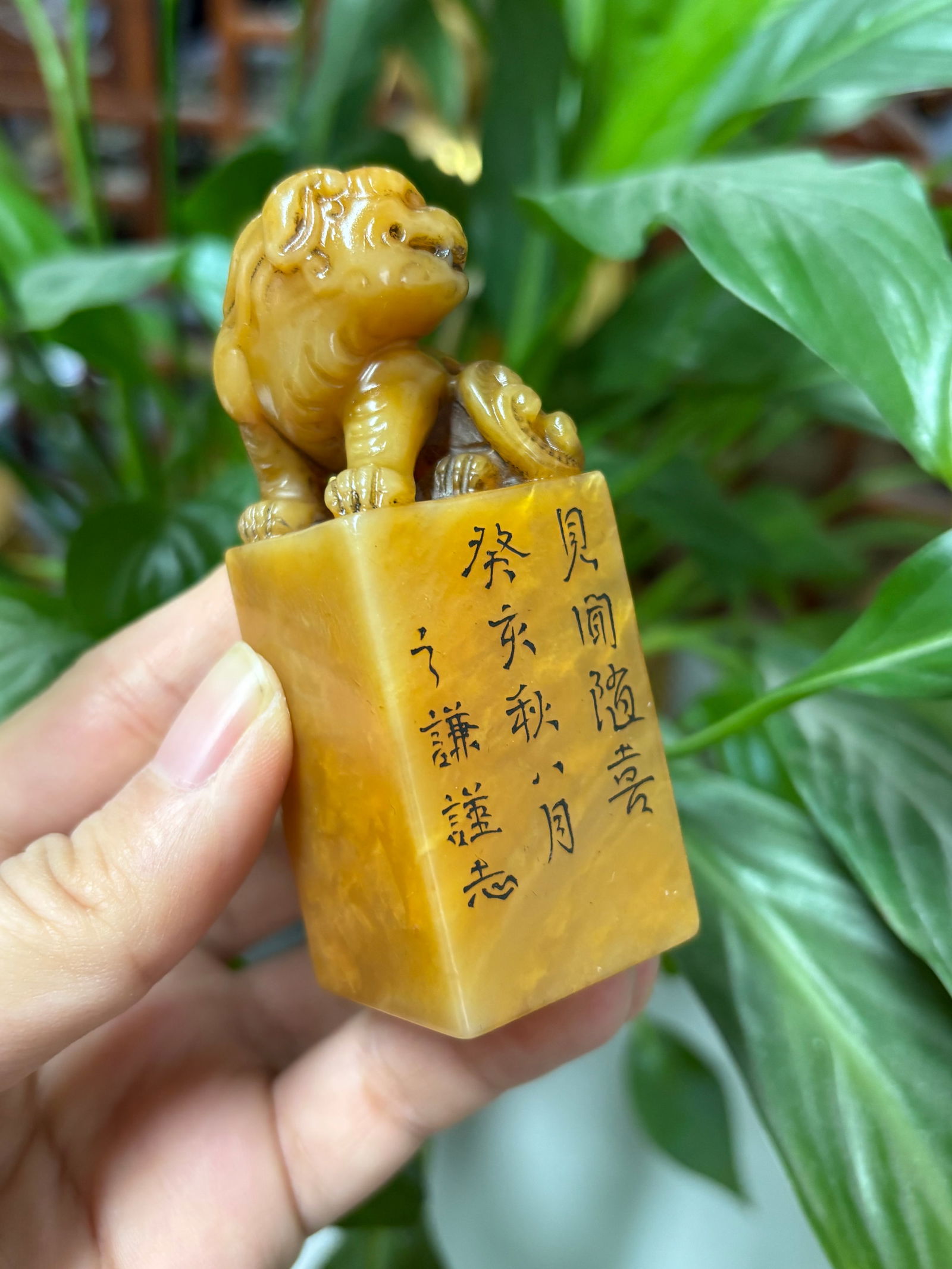 Zhao Zhiqian mark Tianhuang Stone Seal: 7.9*2.9*2.9/134g