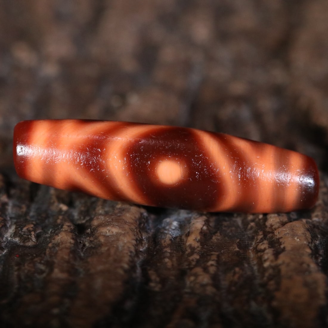 Tibetan Two-Eyed Dzi Bead (1 of 2)