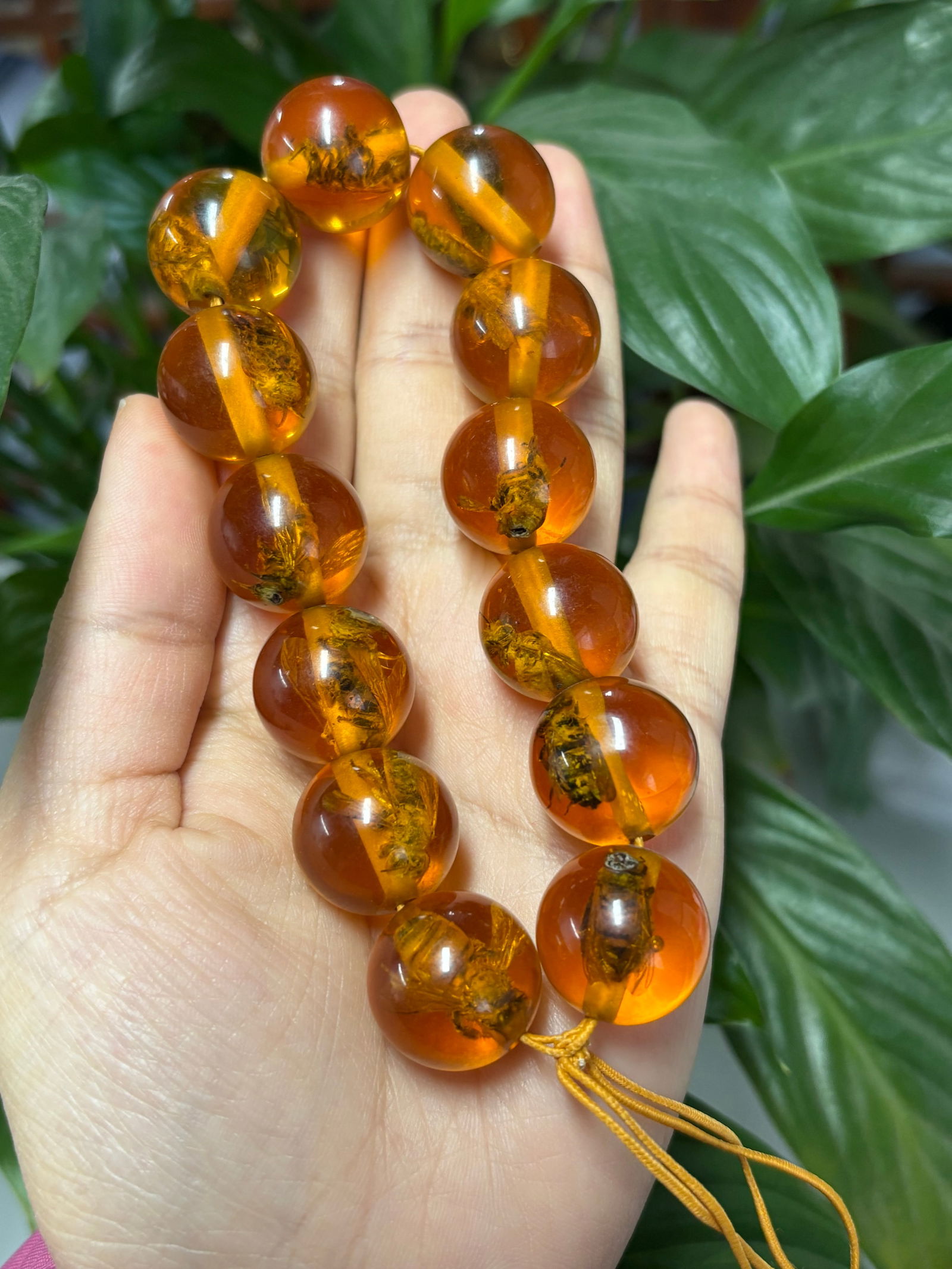 Insect-embedded amber bracelet (1 of 1)