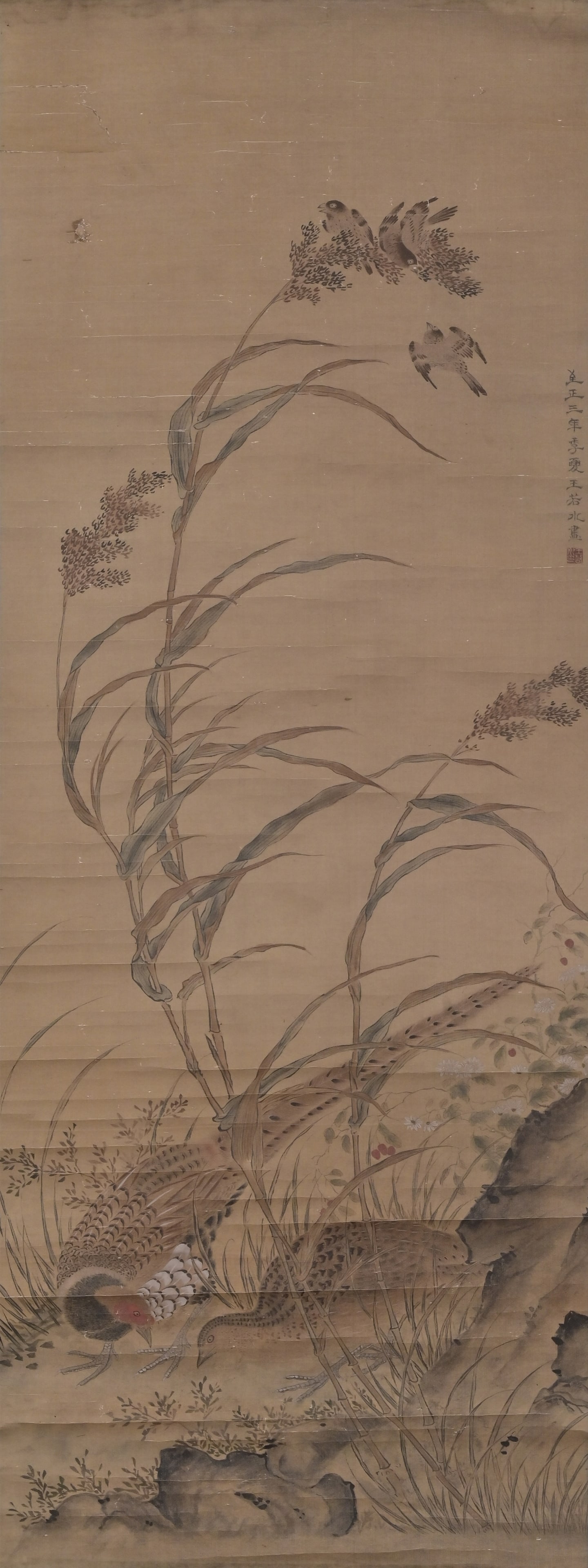 Chinese Wang Ruoshui Mark Pheasants and Sparrows Among Reeds: Height 116cm Width 42cm