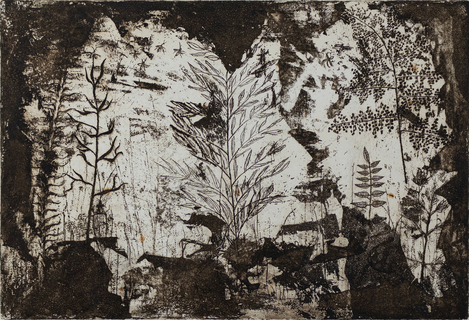 Betye Saar, b. 1926, In the Woods: Betye Saarb. 1926In the Woods1964etching and aquatint on wove paper11 x 16 inchessigned, titled and dated in lower margin, (artist’s proof)