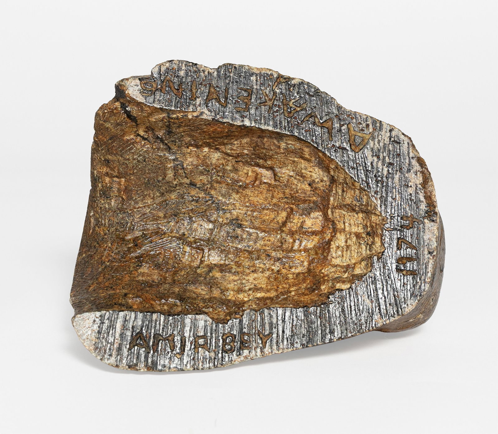 Amir Bey, contemporary, Awakening - 4