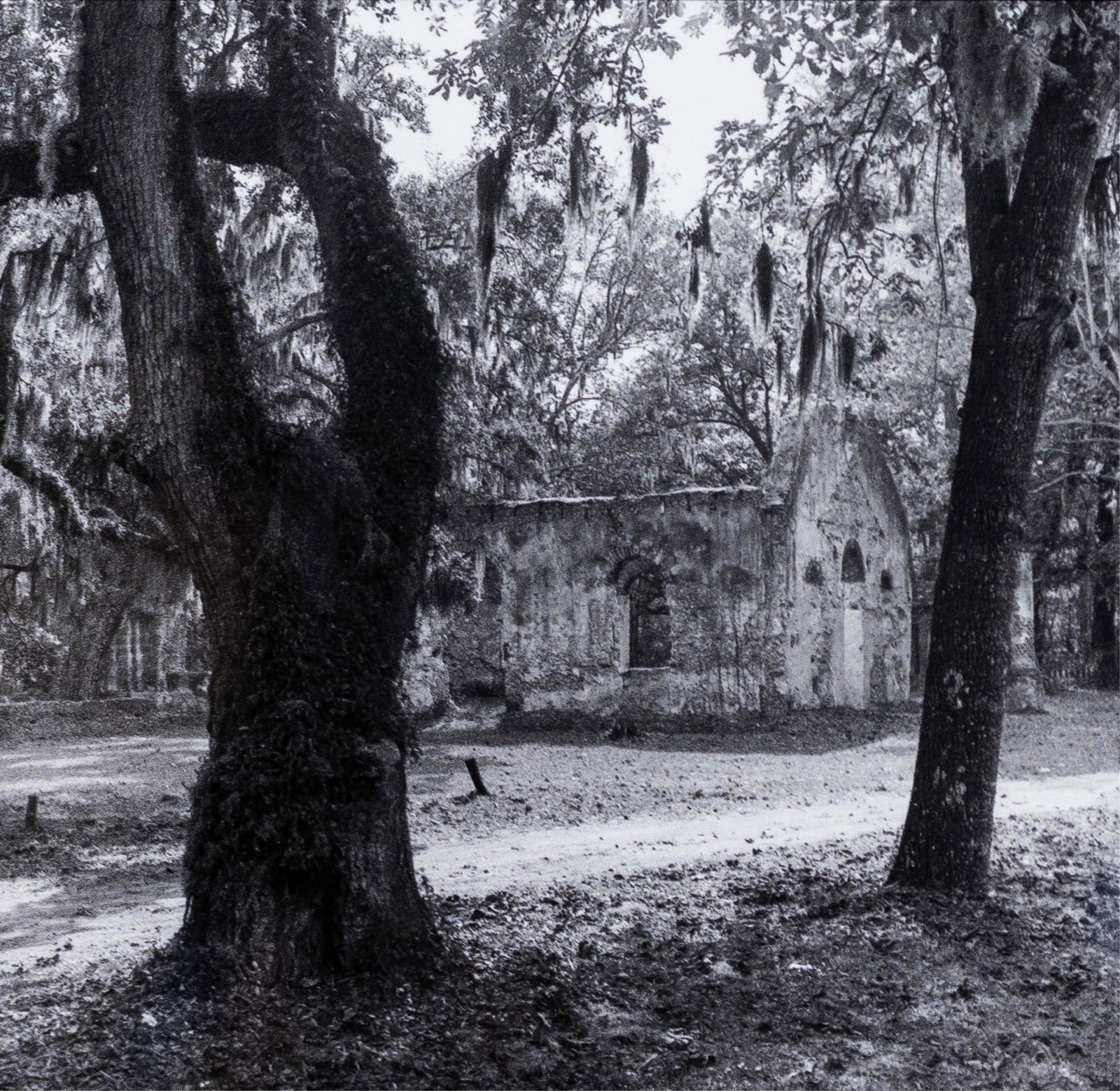 Carrie Mae Weems, b. 1953, lot of three photos - 3