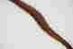 item-107275552=2