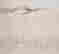 item-107280680=2