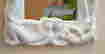 item-130740288=4