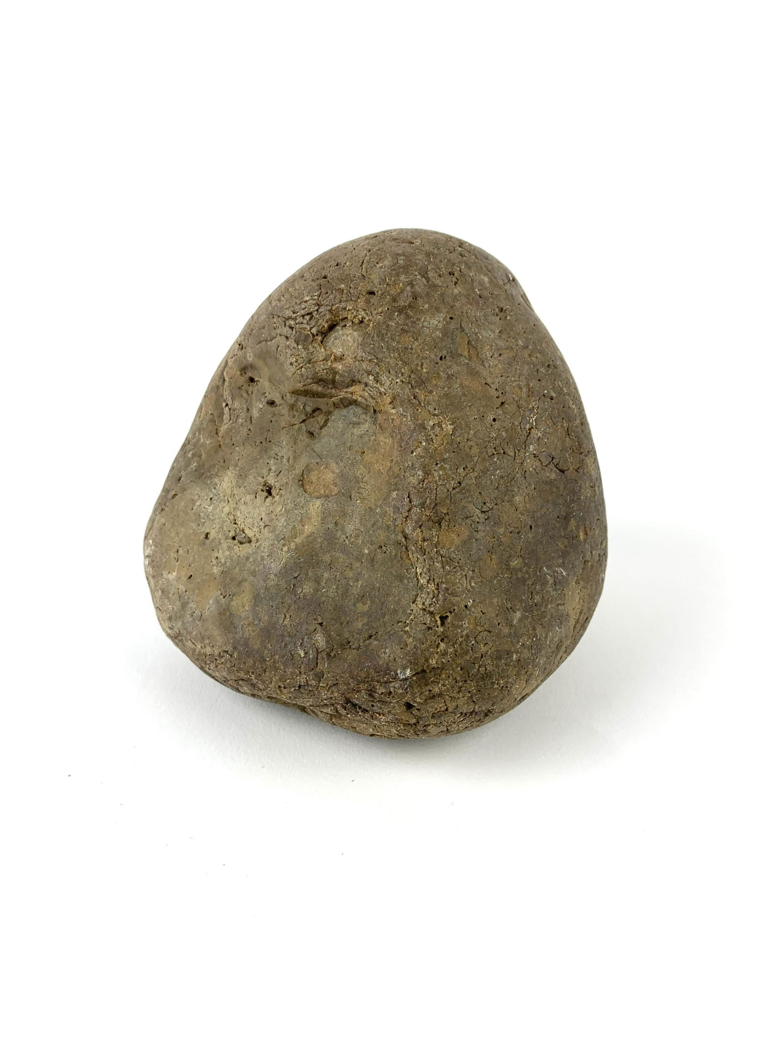 Dinosaur Coprolite Specimen 3lb Fossil (1 of 6)