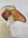 item-130750519=3