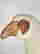 item-130750519=8