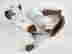 item-130750521=8