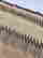 item-131266232=12