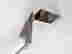 item-131266237=2