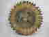 item-133915518=6