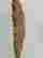 item-133915518=7
