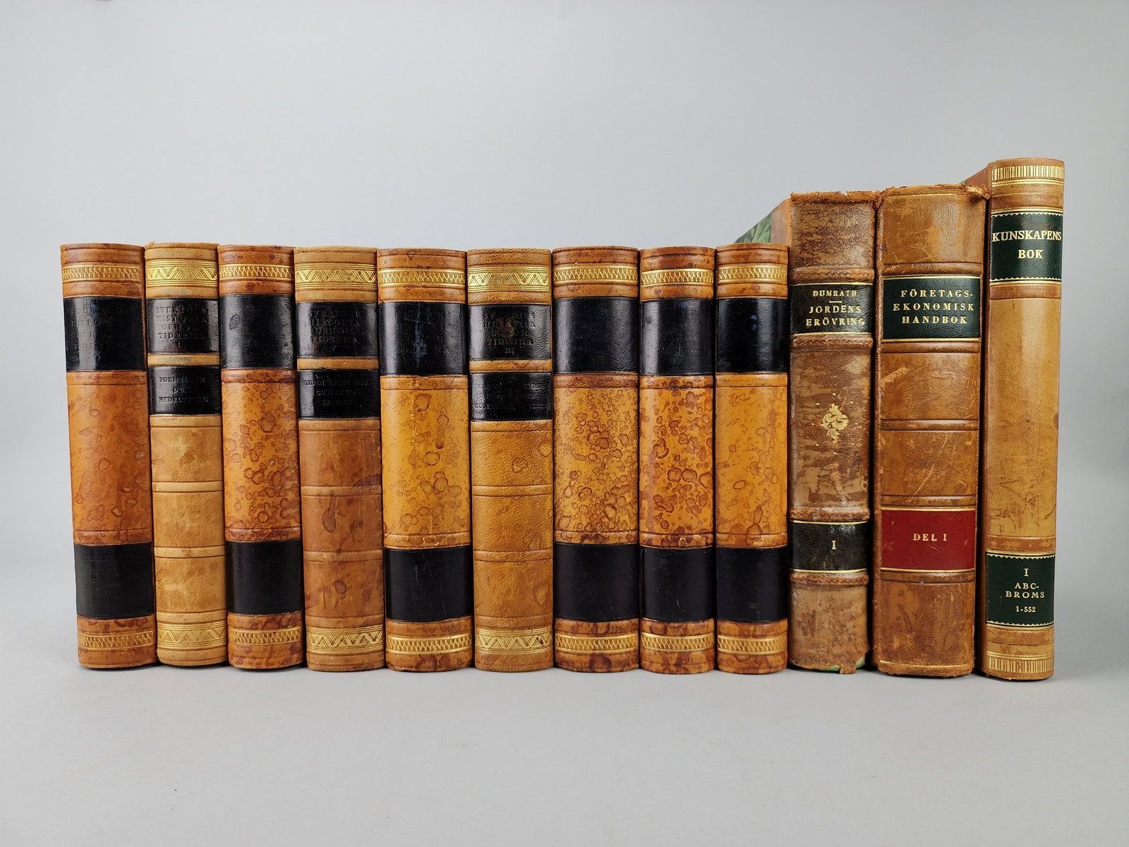12 Swedish Encyclopedia & Economics Leather Hardcover Books (1 of 11)