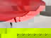 item-160919412=4